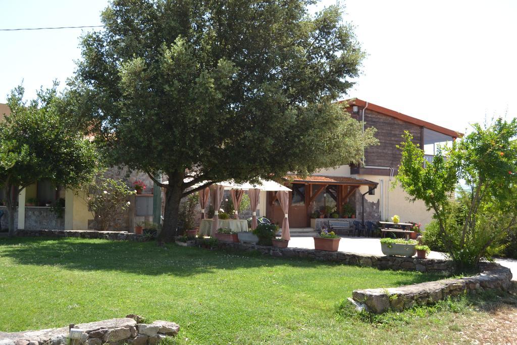 Agriturismo Sa Pigalva Tula Exterior photo